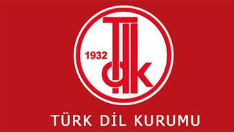 Hülya İsminin Anlamı Nedir? Hülya İsmi Kur'an'da Geçer Mi, TDK Sözlük Anlamı Ne Demek?
