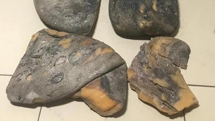 Balina kusmuğu nedir, amber ne işe yarar ve neden pahalı?