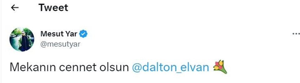 Elvan Dalton hayatını kaybetti: Çalgı Çengi filmindeki müziklerle tanınan Elvan Dalton kimdir, kaç yaşındaydı, neden öldü? - 1
