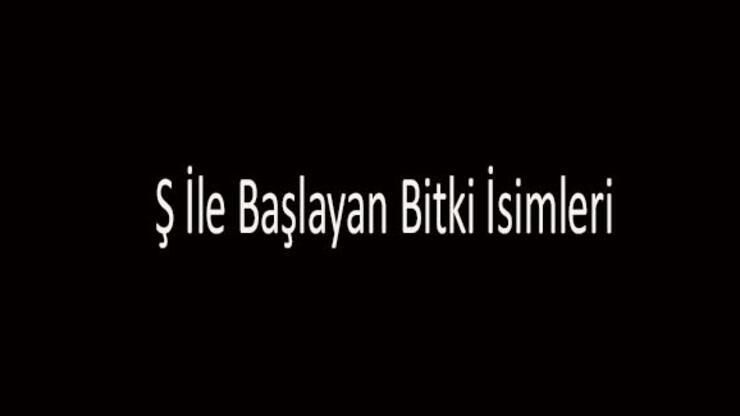 Ş İle Başlayan Bitki İsimleri... Ş Harfi İle Başlayan Bitkiler