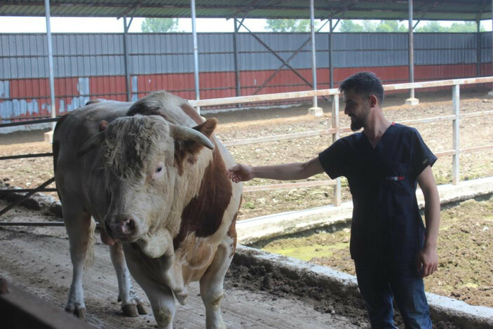 Onu gören şaşırıyor: İkinci el otomobil fiyatına alıcısını bekliyor
