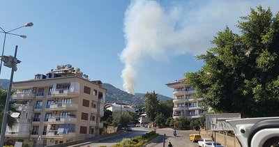Antalya’nın Alanya ilçesinde orman yangını kontrol altında
